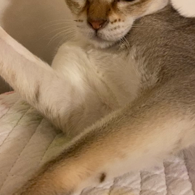 まりちゃんの画像