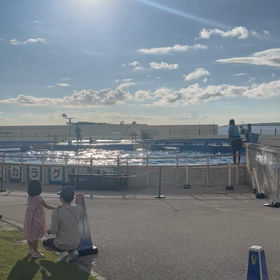 水族館の画像