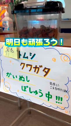 1クール目終了の記事動画