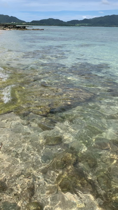 石垣島に行ってきましたの記事動画