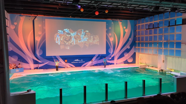 青森市　浅虫水族館＆ポート青森店　活き造り一本漬け筋子の記事動画
