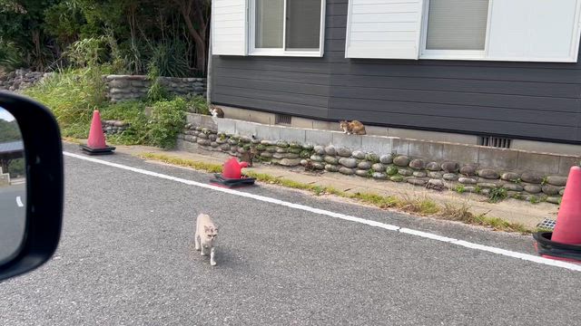 展望台で言葉をうしなう。旅先でアクセスバーズギフト（五島旅記事その５）の記事動画