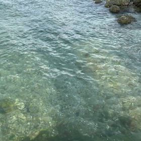 龍神様と海へ✨の画像