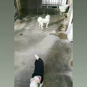 元気♪の画像