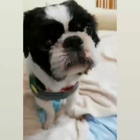 遊ぼ♪の画像