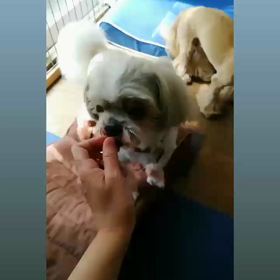 仲良くじゅんばんこ♪の画像