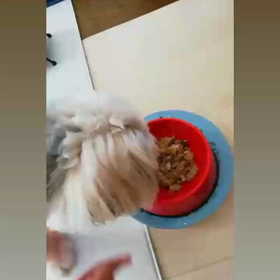 もぐもぐの画像