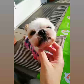 ✮〜愛〜✮の画像