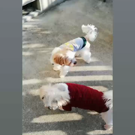 気持ちいい朝 (*˘︶˘*).｡*♡の画像