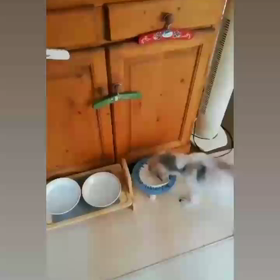 湯上がりの1杯♪の画像