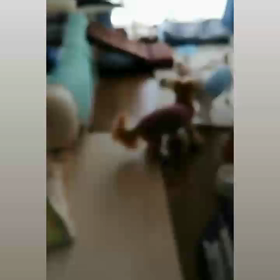 甘えんぼさんの画像