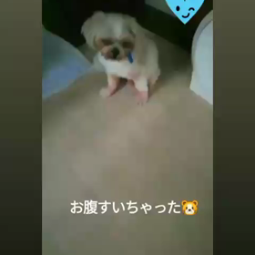 早起きちゃん♪の画像