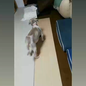 満足顔の画像