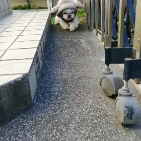 わ〜い♫の画像