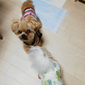 おやつ大好き(º‿º灬)♡の画像
