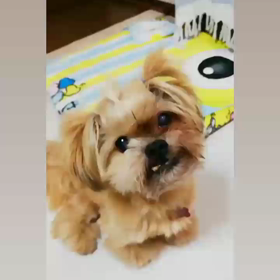 おやつタイムの画像