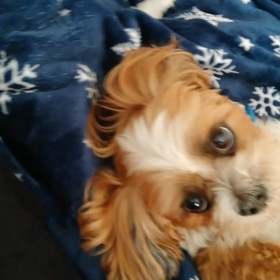 ナデナデして♪の画像