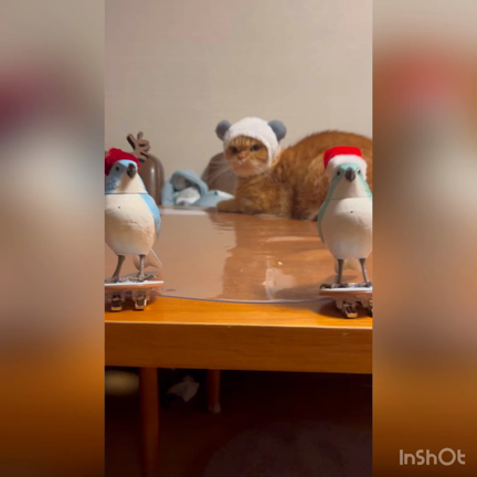 匂ひ袋作りから復活したご縁♥️の記事動画