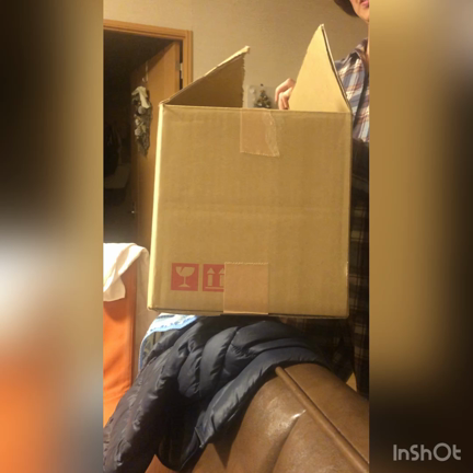 弱った心身はハーブが助けてくれる〜追記ありの記事動画