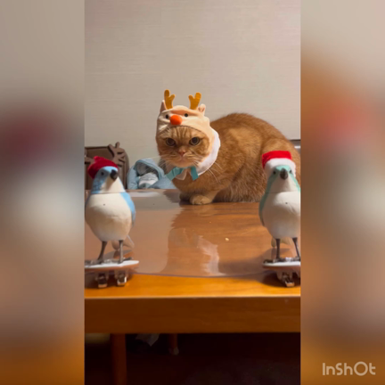 匂ひ袋作りから復活したご縁♥️の記事動画