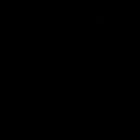 お迎え…の画像