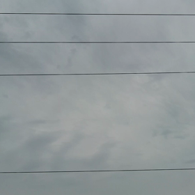 この時期がやってきたの画像
