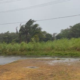 台風3号の画像