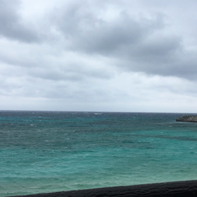 今日のニシハマの画像