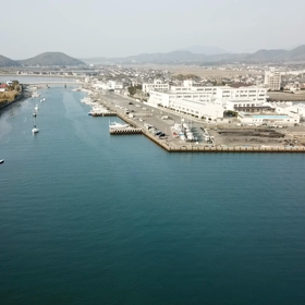動画を貼ってみました。の画像