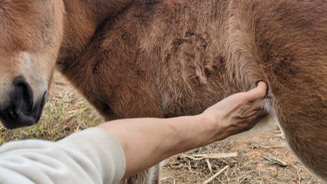 我が子の記事動画