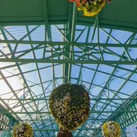 ディズニーランドの一コマの画像