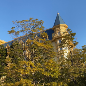1年ぶりのディズニーへ行ってきました〜！！の画像
