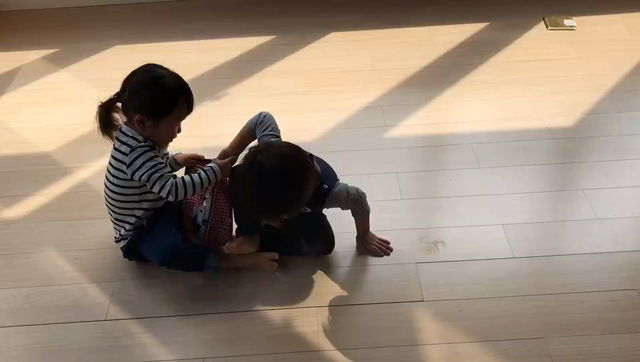 貴重体験！本気の取り合い☆動画の記事動画