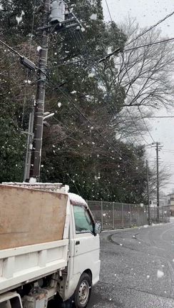 ＊ 雪って…… ＊の記事動画