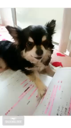 おはようございますの記事動画