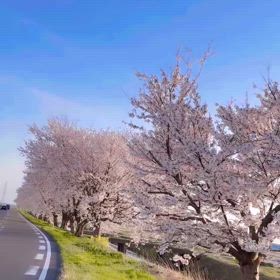 2024/04/14の画像