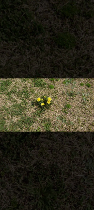 *花*memorys…の記事動画