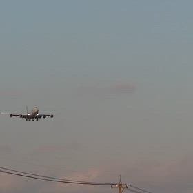 カーゴルクスの画像