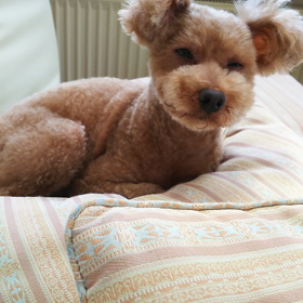 中年になったオレ。の画像