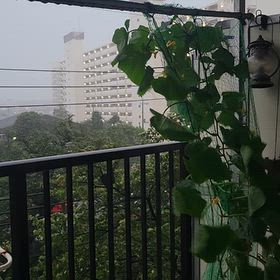 大丈夫かなの画像