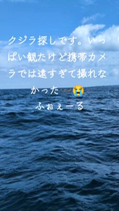 クジラを探しです✨の記事動画