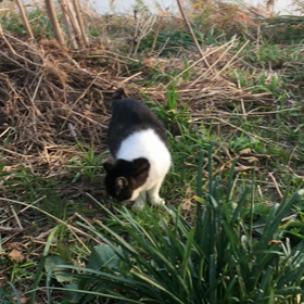投資の難しさ…の画像