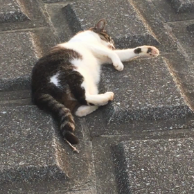 北海道地震お悔やみ申し上げます！の画像