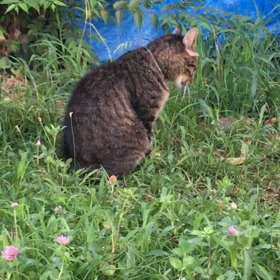 知り合いが失明するかもしれません！の画像