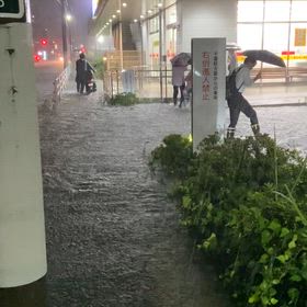 大雨そして冠水…の画像