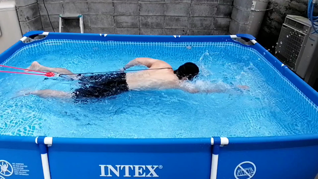 夏が来るの記事動画