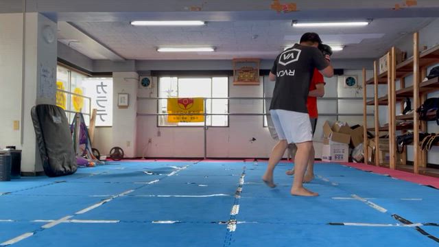 7/8 水曜日の記事動画