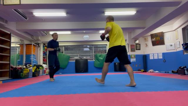 8/23 日曜日の記事動画