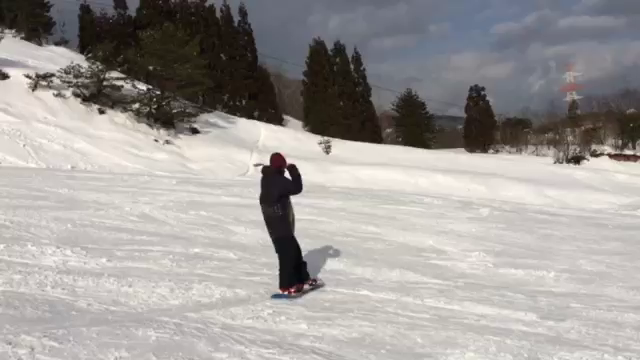 パークアイテムが復活の記事動画
