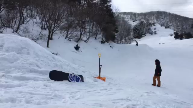 パークアイテムが復活の記事動画